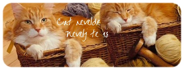 • Cat-Nevelde • Nevelj te is! :)